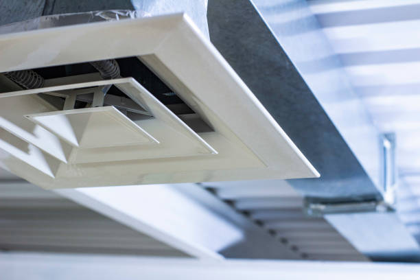 Air Duct Mold Removal in AL