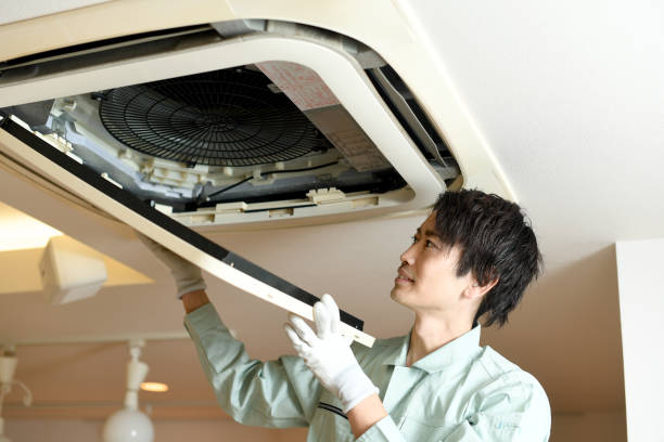 Best Air Duct Mold Removal  in Gulf Shores, AL